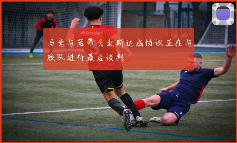 马竞与若昂戈麦斯达成协议正在与狼队进行最后谈判