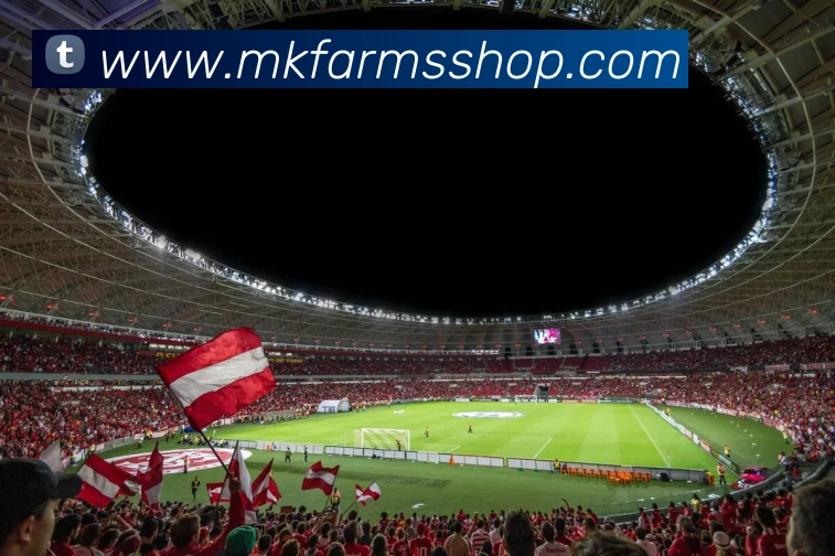 奇异果官方网站APP 体育赛事宣传图